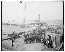 Pay day for the stevedores Baltimore Maryland c1900 OLD PHOTO picture