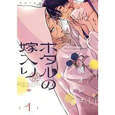 Firefly Wedding (Language:Japanese) Manga Comic From Japan picture