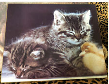 Vtg 70’s Sleeping Kittens Wall Plaque  picture