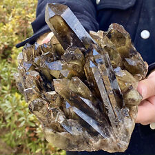 6.87LB Natural Tea black Crystal quartz Cluster Mineral Specimen Healing reiki picture