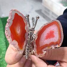 93G Natural Beautiful Agate Geode Handcarved Butterfly Druzy Gemstone picture