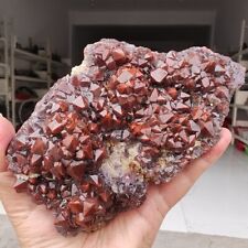 840g Genuine rare Red Cap Auralite 23 raw cluster Quartz Mineral Specimen picture