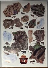 Vintage 1984 Smokey the Bear Leave a Good Impression Poster picture