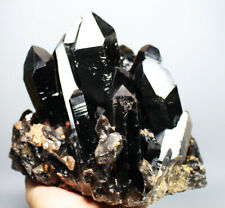 6.75lb Natural Rare Beautiful Black QUARTZ Crystal Cluster Mineral Specimen picture