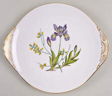 Spode Stafford Flowers Handled Cake Plate 6691644 picture