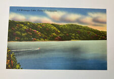 Watauga Lake Eastern Tennessee Colorful VINTAGE Postcard picture