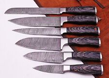 Eye Catching Custom Made Damascus Steel Professional Kitchen Knife set -DB-049-6 picture