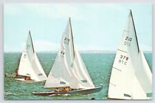 Transportation~Sail Boats~Cape Cod MA~Boat Racing~Figawi Race Biggest~Vtg PC picture