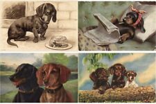 DACHSHUNDS, DOGS, 21 Vintage Postcards with Better Pre-1940 (L6910) picture