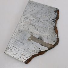 251g Muonionalusta meteorite slice R1909 picture