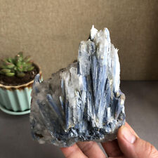 723g Rare Blue Crystal Natural Kyanite Rough Gem stone Specimen Healing A1516 picture