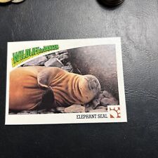 B30s Wildlife In Danger 1992 WWF World Fund #32 Elephant Seal picture