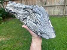 Texas Petrified Natural Wood Rotted Log Bark Fossil Large 16