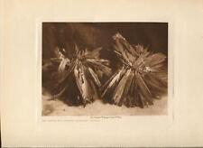 1908 Original Photogravure | Turtles, Feathers, Adornment Mandan | Curtis picture