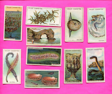 1928 W.D. & H.O. WILL'S CIGARETTES WONDERS OF THE SEA 10 DIFFERENT CARD LOT picture