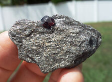 Red Almandine GARNET Crystal in Matrix from Wrangell Island Alaska For Sale picture