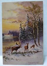 Deer Forest Trees Lake Scenic View Postcard Signed Muller Germany Serie 278 HK&M picture