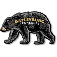 Gatlinburg Black Bear Magnet by Classic Magnets picture