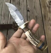 CUSTOM HANDMADE DAMASCUS STEEL HUNTING SKINNING KNIFE STAG ANTLER HANDLE picture