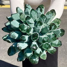 9.65LB Natural Green Quartz Crystal Cluster Specimen Crystal Flowers Home Decor picture