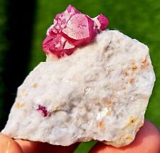 Ruby specimen top quality amazing piece superb luster from Jegdalak Afg 59grams picture