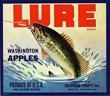 5 Vintage LURE Brand Apple Fruit Crate Labels Oroville, Washington picture