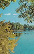 Vintage Postcard Autumn Splendor Vacationland Scene Marion Michigan Unposted picture