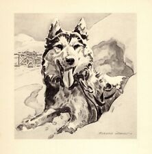1947 Antique Siberian Husky Art Print Morgan Dennis Husky Illustration 4969t picture