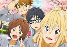 Aniplex Your Lie In April Blu-Ray Disc Box Limited Edition multicolor picture