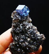 49 g natural cubic blue transparent fluorite specimen/China picture