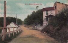 Postcard State Road Newport PA 1910 picture