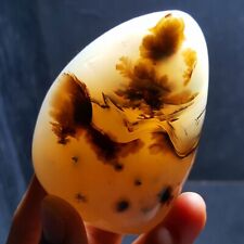 HOT196.5g Natural Polished Aquatic Plants Agate Crystal  Madagascar 31A32 picture