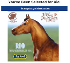 Breyer Collector Club Web Special - Rio, 600 pieces made - SHIPS FROM BREYER picture