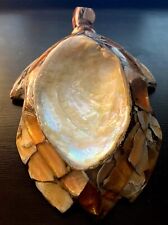 Unusual Acrylic Turtle Abalone Seashell Trinket Soap Spoon Rest Dish picture