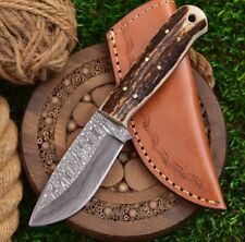 (Deer Stag Handle) Custom Handmade Fixed Blade 1095 Damascus Steel Skinner picture
