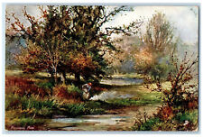 1907 Richmond Park River Egg Harbor WI Aquarette Oilette Tuck Art Postcard picture