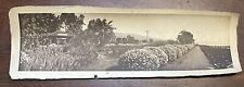 1907 Miramar Railroad  Station Southern Pacific Pano Photograph CA  San Diego picture