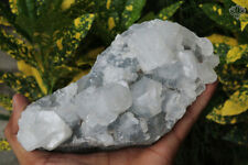 Apophyllite Specimen Minerals Crystals 844 gm Home Decor Natural Indian Cluster picture