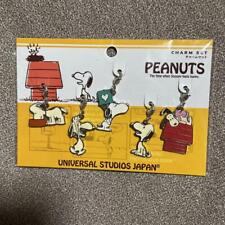 Usj Limited Vintage Peanuts Snoopy Charm Set picture