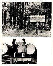 LG903 1942 Original Photo SOUTHLAND PAPER MILLS FOREST Pine Logging Industry picture