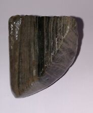 Native American Paleo Indian Amazing Banded Blue Slate Chopping Stone Axe... picture