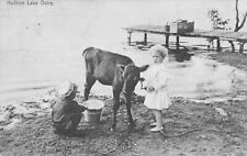 RPPC POSTCARD Antique 1910 Hudson Lake Dairy CALF with 2 children LAKE & DOCK picture