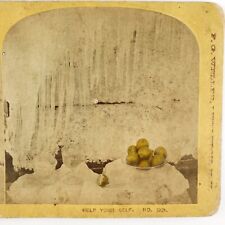 Green Apples Still Life Stereoview c1877 Weller New Hampshire Ice Cave Snow H491 picture