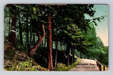 Springfield MA-Massachusetts, Road In Forest Park, Vintage c1911 Postcard picture