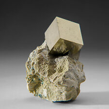 Pyrite Cube on Basalt from Navajún, La Rioja Province, Spain (202 grams) picture