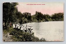Postcard Lake Scene near Detroit Minnesota, Antique L7 picture