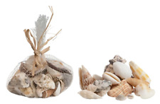 Assorted Seashells Mix 2 Lb Bag Of Shells Variety Sizes And Colors Decor Crafts picture