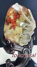 2.59LB Natural Colorful Phantom Carved Fish Quartz Crystal Skull Beautiful+Base picture