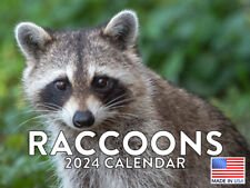 Raccoon 2024 Wall Calendar picture