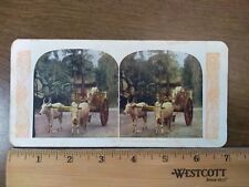 Antique Stereoscope Slide #157 1905 Stereoview Singapore India Cows Transport picture